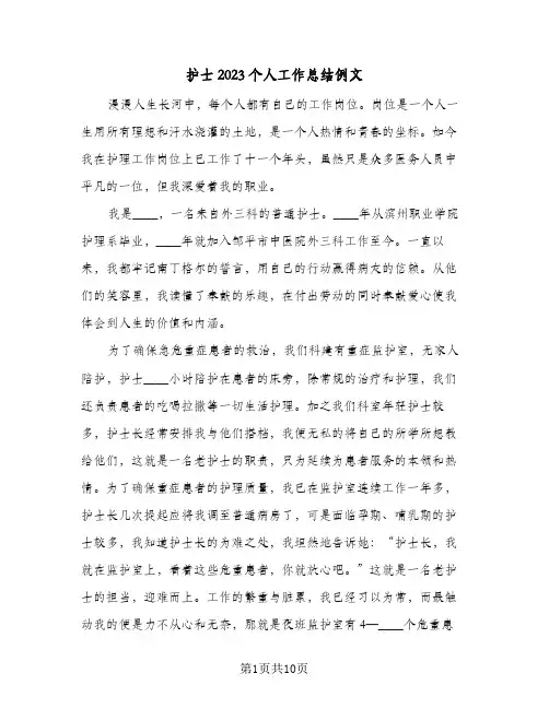 护士2023个人工作总结例文(四篇)