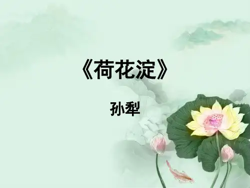 《荷花淀》精品课件ppt培训资料
