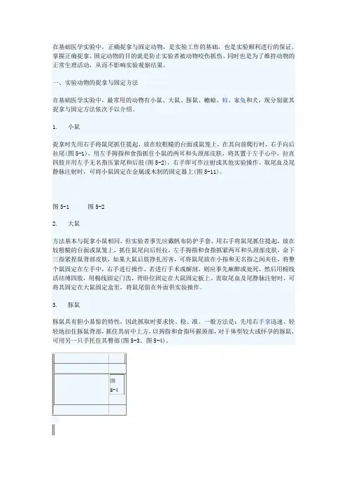 动物实验的基本操作