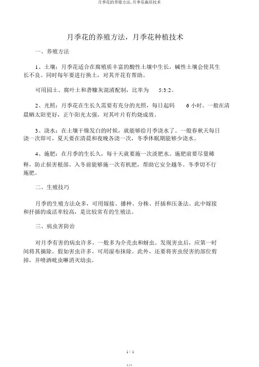 月季花的养殖方法,月季花栽培技术