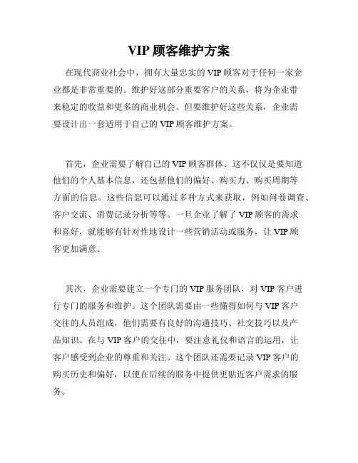 VIP顾客维护方案