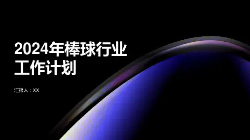 2024年棒球行业工作计划