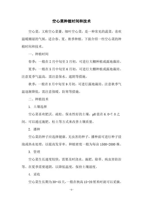 空心菜种植时间和技术