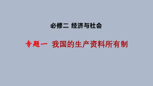 必修二 经济与社会 专题一 我国的生产资料所有制