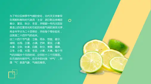 小清新青柠模板PPT快