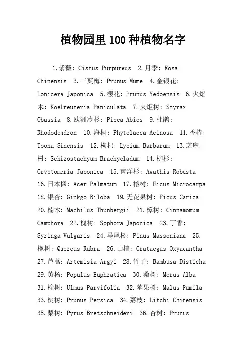 植物园里100种植物名字