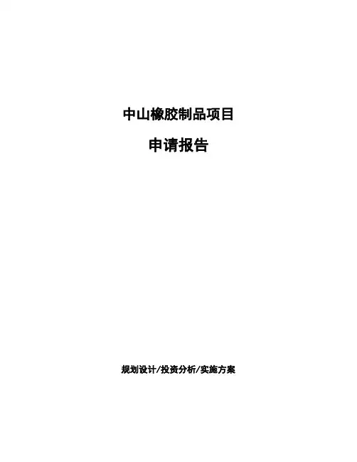 中山橡胶制品项目申请报告