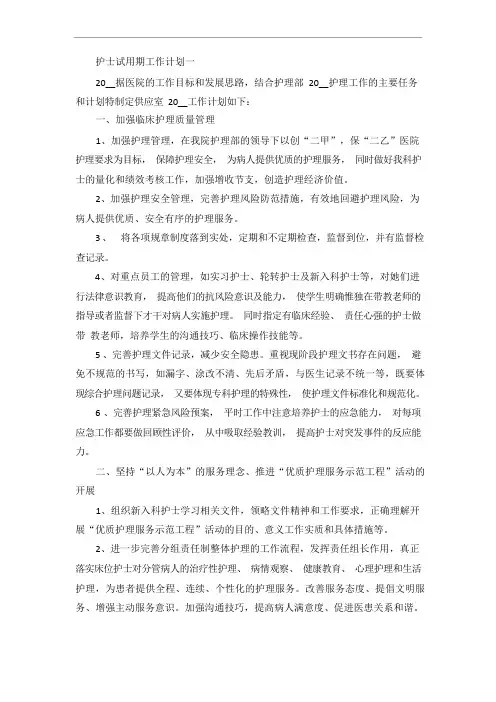 护士试用期工作计划