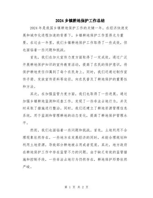 2024乡镇耕地保护工作总结
