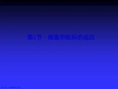 病理课件细胞和组织的适应、损伤与修复整理