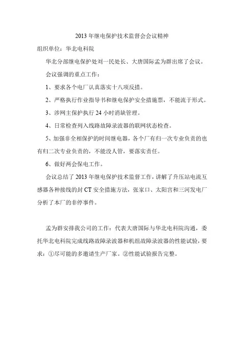 2013年继电保护技术监督会会议精神