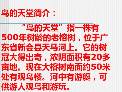 鸟的天堂ppt课件【8页】
