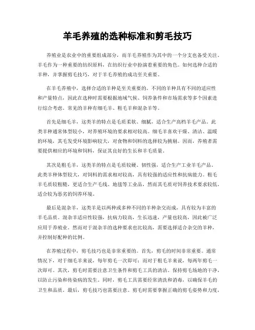 羊毛养殖的选种标准和剪毛技巧