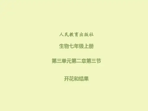 人教版初中生物七上3.2.3 开花和结果 课件 (共27张PPT)