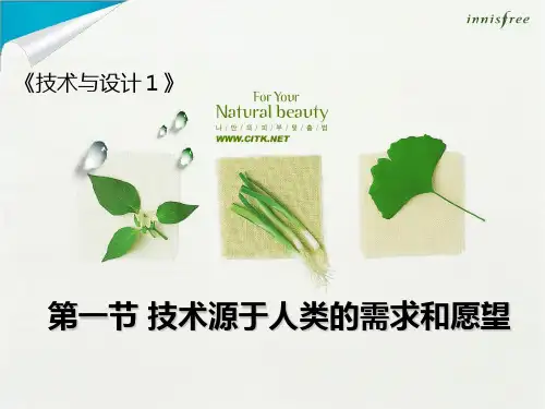 技术与设计1第一章课件 (全)