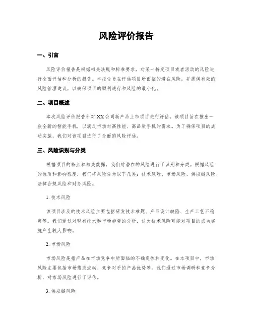 风险评价报告