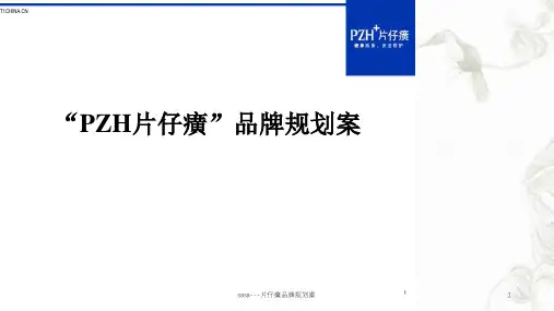 sasa---片仔癀品牌规划案课件
