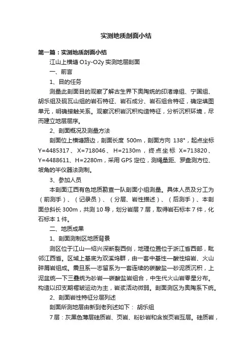 实测地质剖面小结