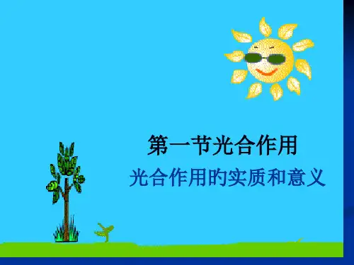 光合作用实质和意义