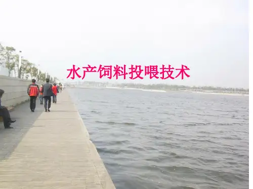 饲料投喂技术