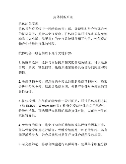 抗体制备原理
