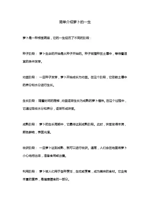 简单介绍萝卜的一生