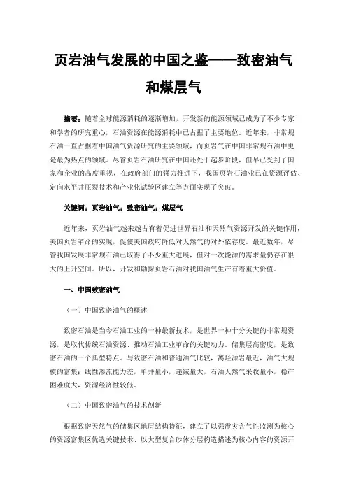 页岩油气发展的中国之鉴——致密油气和煤层气