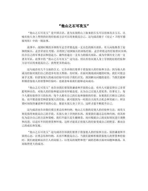 “他山之石可攻玉”