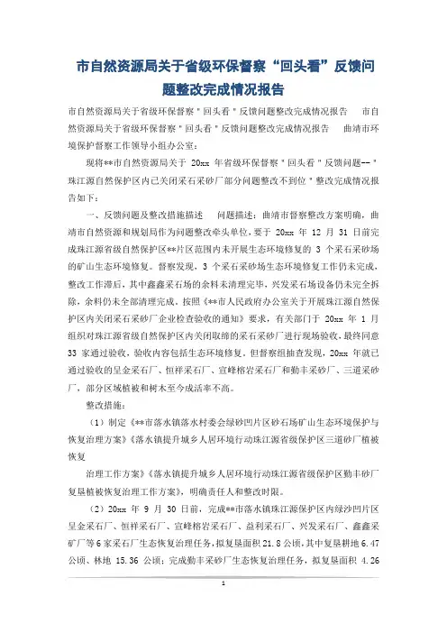 市自然资源局关于省级环保督察“回头看”反馈问题整改完成情况报告