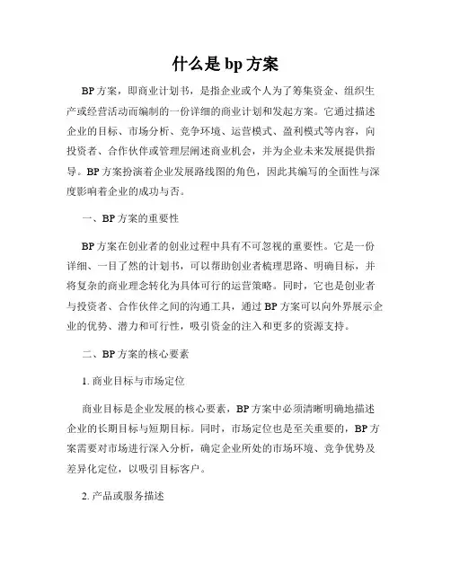 什么是bp方案