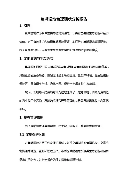 巢湖湿地管理现状分析报告