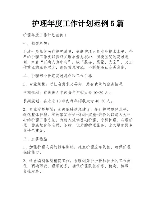 护理年度工作计划范例5篇