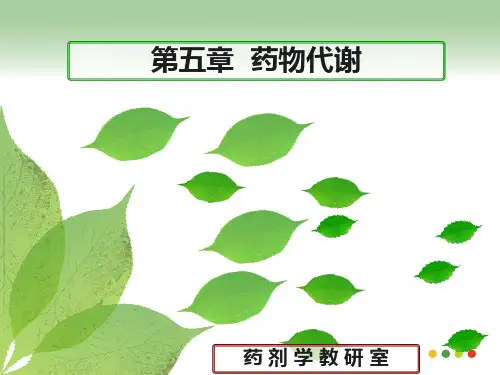 第五章药物代谢PPT课件