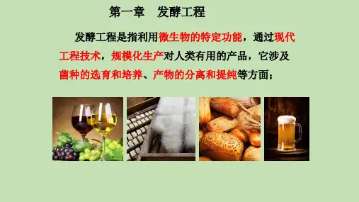 【课件】高三生物一轮复习课件：发酵工程