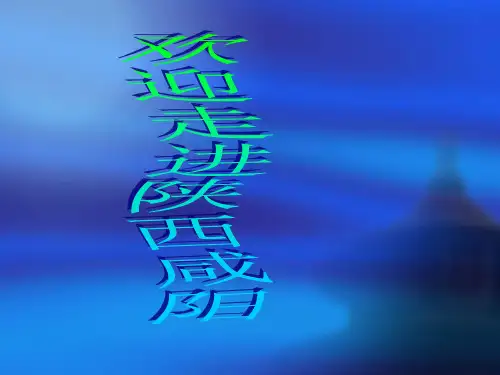 美丽咸阳
