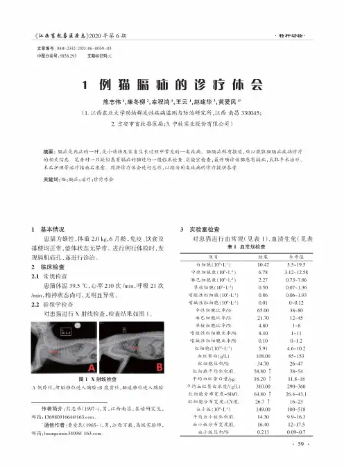 1例猫膈疝的诊疗体会