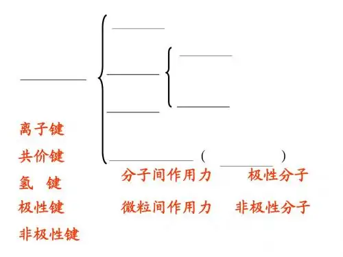金属键与金属特性