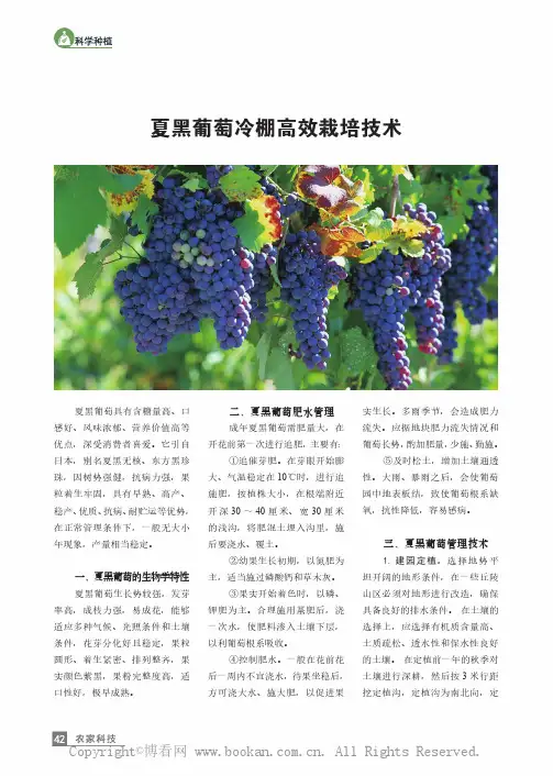 夏黑葡萄冷棚高效栽培技术