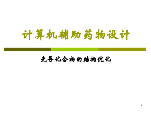 先导化合物的结构优化