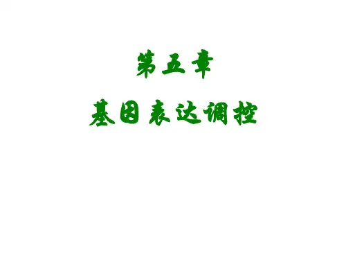 分子生物学第5章