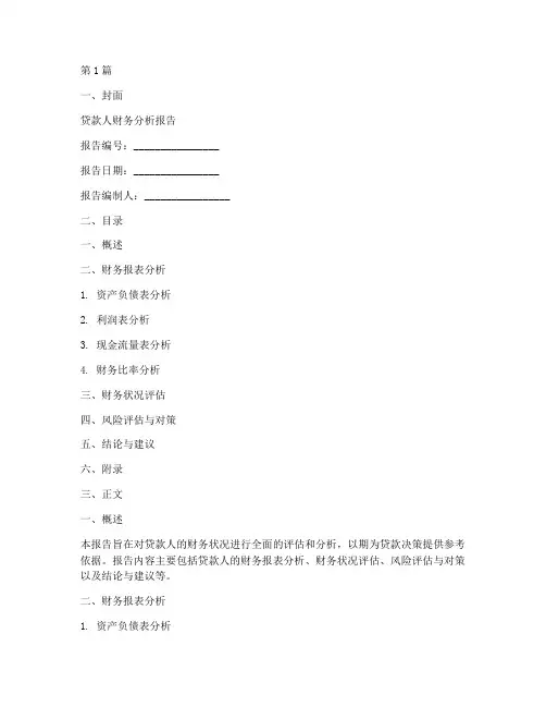贷款人财务分析报告模板(3篇)