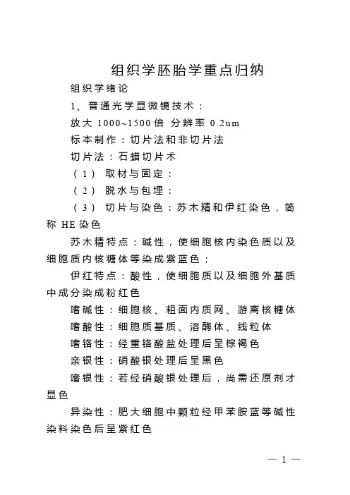 组织学胚胎学重点归纳