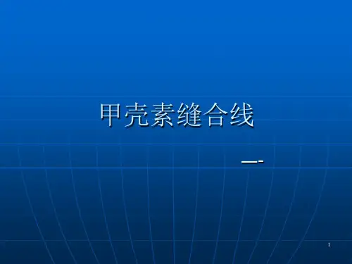 甲壳素缝合线ppt课件