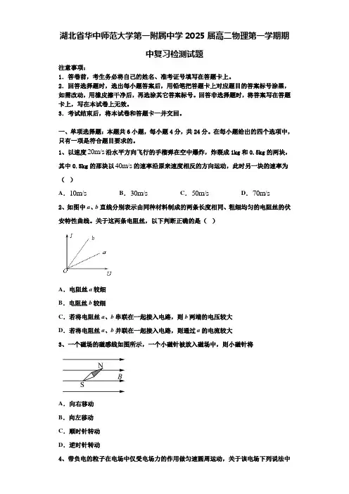 湖北省华中师范大学第一附属中学2025届高二物理第一学期期中复习检测试题含解析