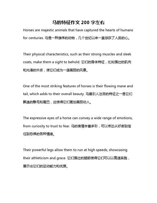 马的特征作文200字左右