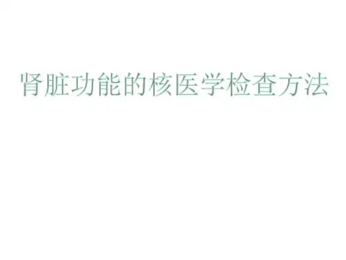 肾功能的核医学检查