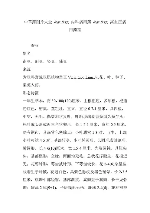 中草药图片大全