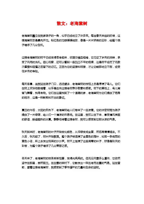 散文：老海棠树