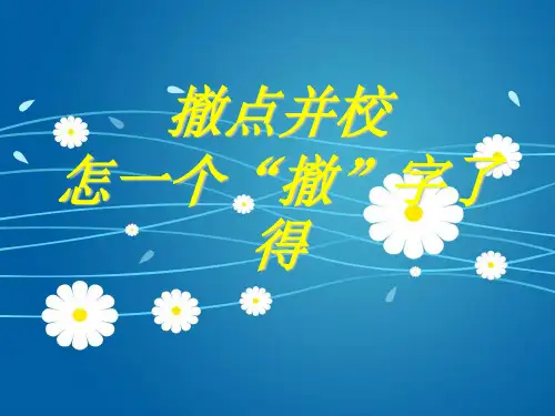 财政案例-撤点并校