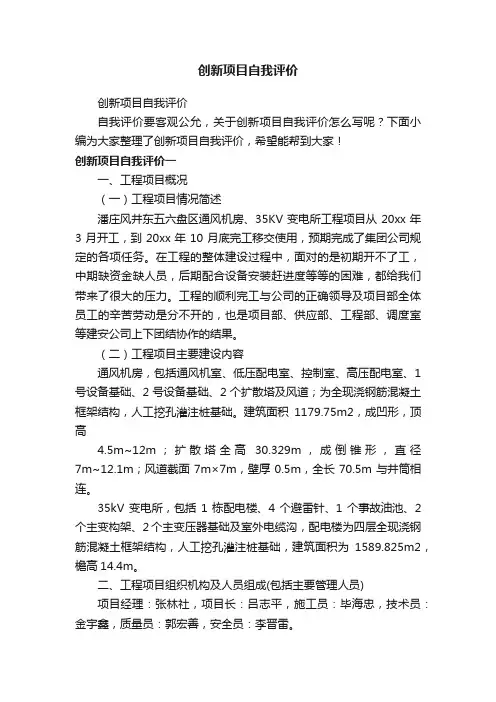 创新项目自我评价